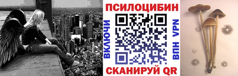 цены   Батайск  Псилоцибиновые грибы прущие грибы 